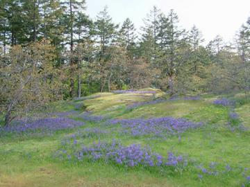 Knockan Hill Park